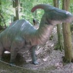Parasaurolophus in the forest
