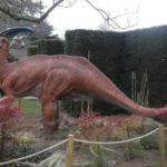 Parasaurolophus park