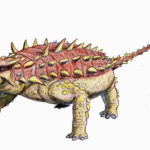 Pinacosaurus spikes