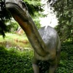 Plateosaurus long neck