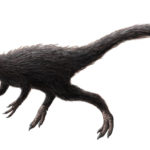 Procompsognathus running