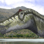 Prosaurolophus head