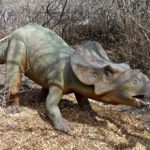 Protoceratops in the wild