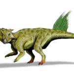 Psittacosaurus staring