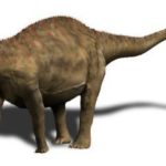 Rebbachisaurus walking