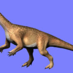 Riojasaurus height