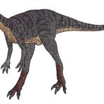 Saltopus walking scaled