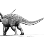 Sauropelta walking