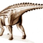 Scelidosaurus spikes