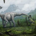 Shunosaurus fight