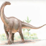 Shunosaurus looking