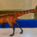 Sinosauropteryx model scaled