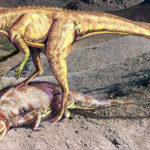 Staurikosaurus murder