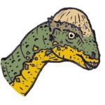Stegoceras head