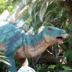 Stegosaurus color