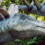 Stegosaurus head