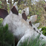Stegosaurus lurking