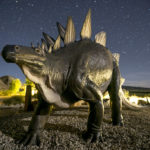 Stegosaurus under the stars