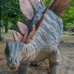 Stegosaurus wandering