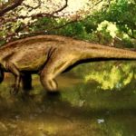 Suchomimus in the water