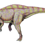 Suchomimus left view