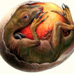THERIZINOSAURUS egg