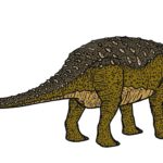 Talarurus long tail scaled