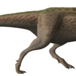 Tarbosaurus side view