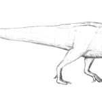 Tenontosaurus sketch