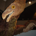 Therizinosaurus head