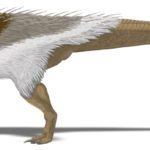 Thescelosaurus feathered body
