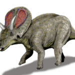 Torosaurus left view