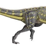 Torvosaurus running