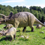 Triceratops family