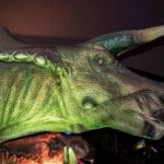 Triceratops head