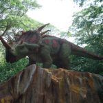Triceratops in the rocks