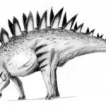 Tuojiangosaurus sketch