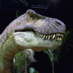 Tyrannosaurus rex side view
