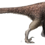 Utahraptor with feathers