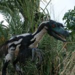 Velociraptor color scaled