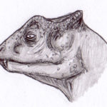 Yinlong head