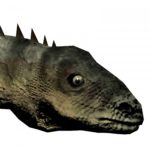 argentinosaurus head