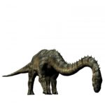 argentinosaurus long neck