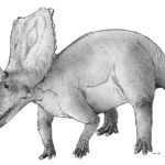 chasmosaurus sketch walking