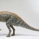 corythosaurus left view