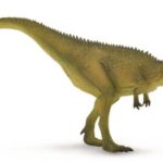 mapusaurus right view
