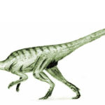 Agilisaurus walking