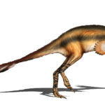 Alvarezsaurus long tail scaled