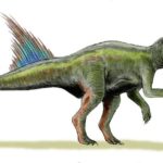 Archaeoceratops fin