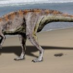 Dubreuillosaurus walking